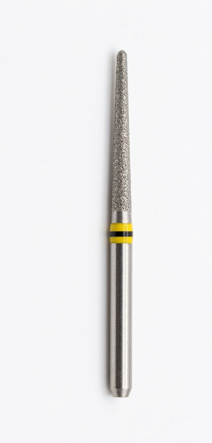 (4138EF/FF) Fresa Diamante 4138EF/FF, Wissen Club