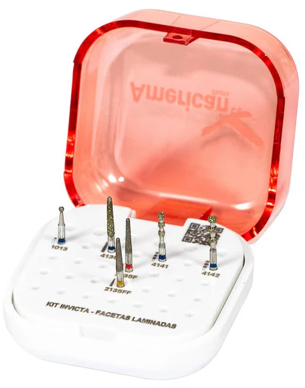 Kit Fresas P/Carillas Laminadas American Burrs