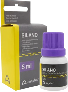(479) Silano Angelus