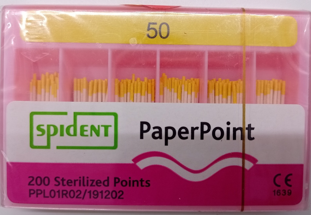 Cono Papel #50 Spident