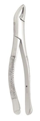 Forcep P/Niño 151S, Panorama