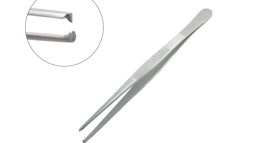 Pinza Diseccion Con Dientes, Panorama