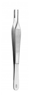 Pinza Adson Con Dientes, Panorama