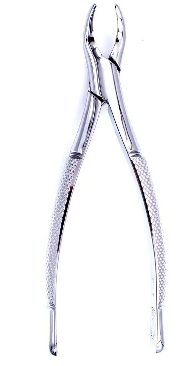 Forcep P/Niño 150S, Panorama