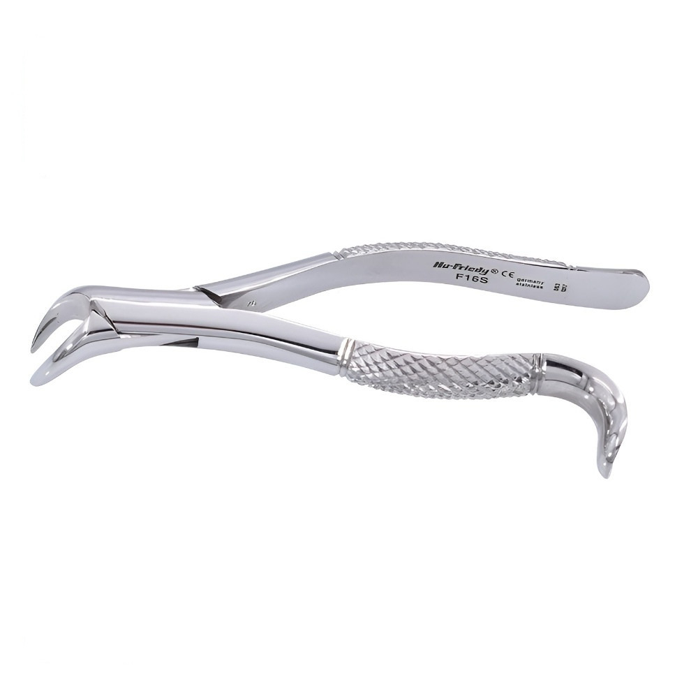 Forcep P/Niño 16S, Panorama