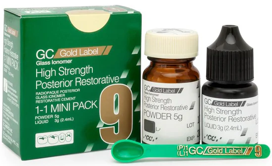 Fuji 9 Mini P/Posterior A2 GC, America