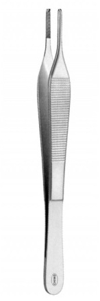 Pinza Adson Sin Dientes, Panorama