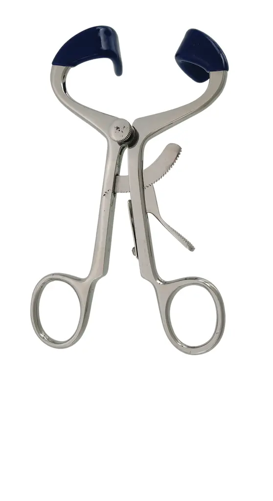 Abre Boca Metalico Adulto, Panorama