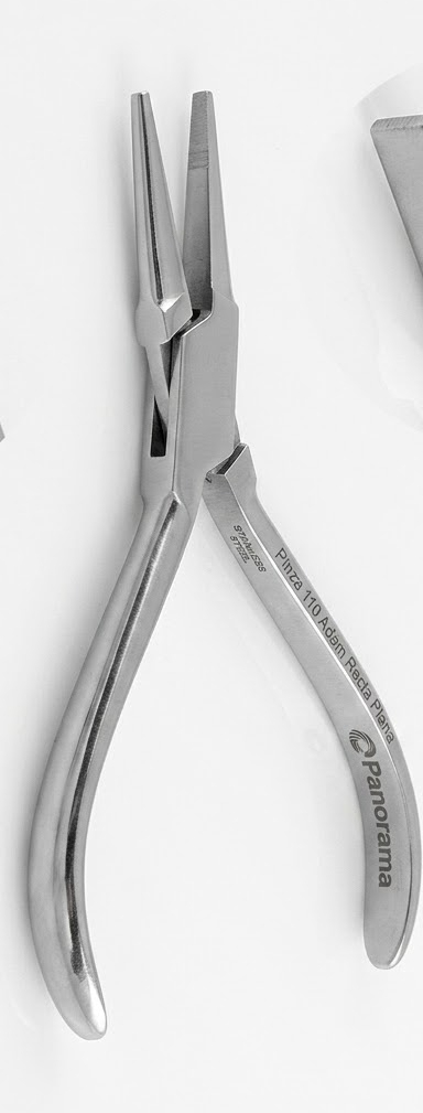 Pinza 110 Adam Recta Plana, Panorama