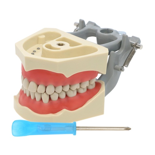 [PO-PS-00026] Dentoformo DF-860 marfil Adel-Products