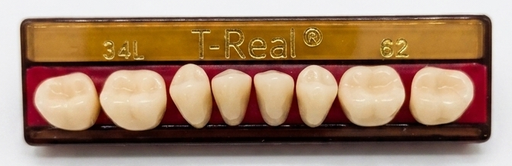 [PO-OT-00234] T Real Diente (1x6 Molares) New Stetic