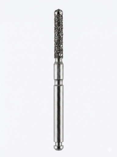 [PO-OT-00268] (1801.3099) Fresa Diamantada KGS FG 3099