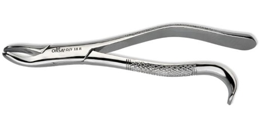 [PO-OT-00618] Forcep 18R 1ER & 2DO Molar Susp. Derecho, Panorama