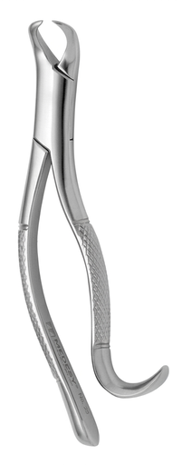 [PO-OT-00638] Forcep 16 1Ro & 2Do Molar Inf/universal, Panorama