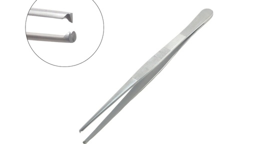 [IO-IM-100015] Pinza Diseccion Con Dientes, Panorama