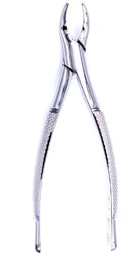 [IO-IM-00126] Forcep P/Niño 150S, Panorama